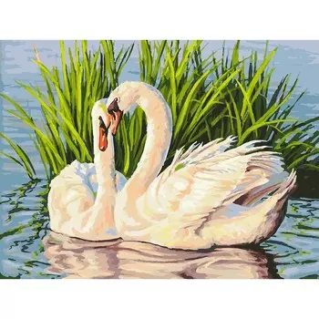 Раскраски по номерам - Навсегда, 30 х 40 см