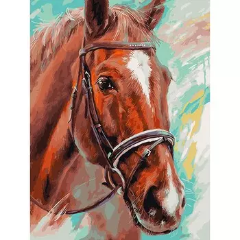 Раскраски по номерам Побегаем, 30 х 40 см