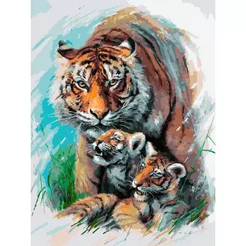 Раскраски по номерам Попробуй подойди, 30 х 40 см