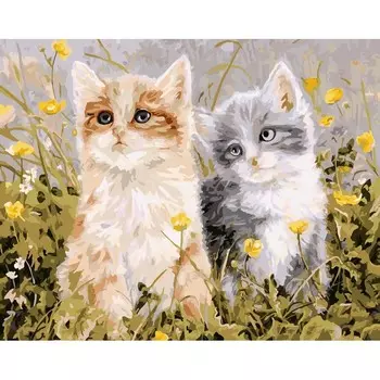 Раскраски по номерам - Славная парочка, 30 х 40 см