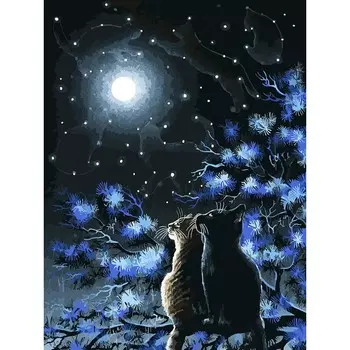 Раскраски по номерам. Созвездия