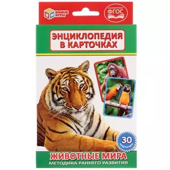 Развивающие карточки - Животные мира, 30 карточек