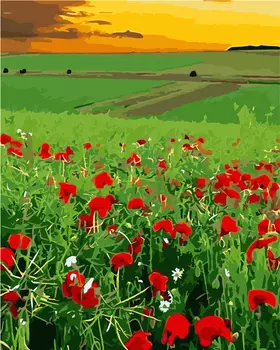 Роспись холста по номерам "Маки на лугу", Креатто, 40 х 50 см
