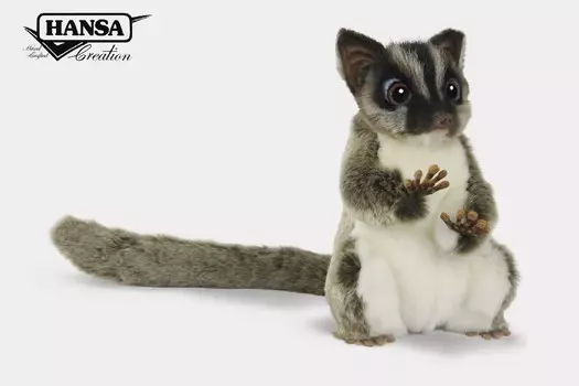 Сахарная сумчатая летяга, 22 см