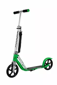 Самокат двухколёсный BigWheel 205 grass зелёный