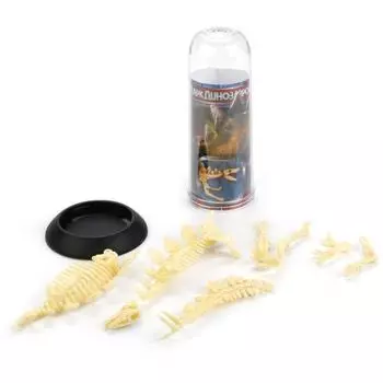 Сборная фигурка – скелет динозавра Стегозавра, в тубе