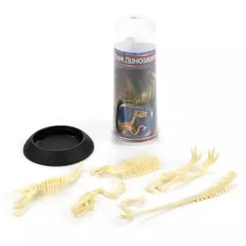 Сборная фигурка – Скелет динозавра, в тубе