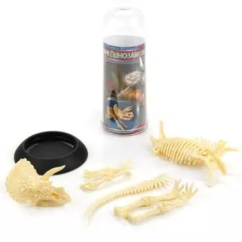 Сборные фигурки - Скелет динозавра в тубе