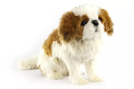 Ши-тцу сидящая, 36 см