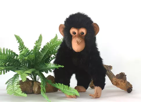 Шимпанзе, 30 см