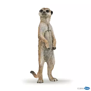 Стоящий сурикат