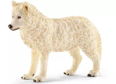 Волк арктический