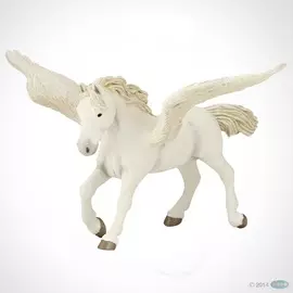 Волшебный Пегас