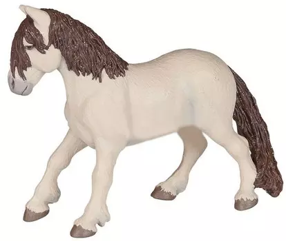 Волшебный пони