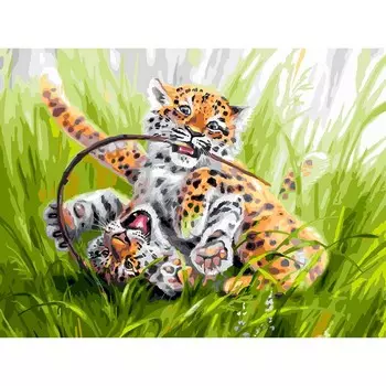 Живопись на холсте Кутерьма в пятнышках, 30 х 40 см