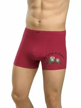 Трусы Pelican MUHB6743