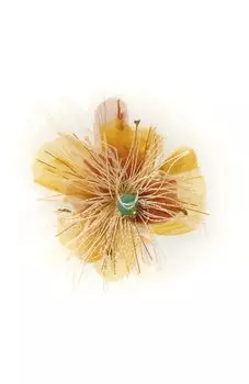 Аппликация Dolce & Gabbana