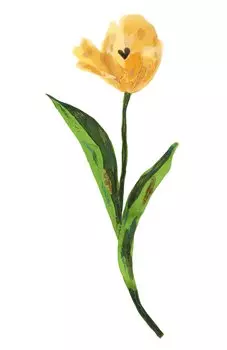 Аппликация Dolce & Gabbana