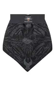 Бандана-маска Harley-Davidson