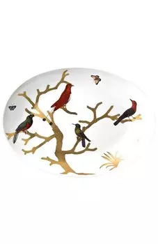 Блюдо овальное Aux Oiseaux Bernardaud