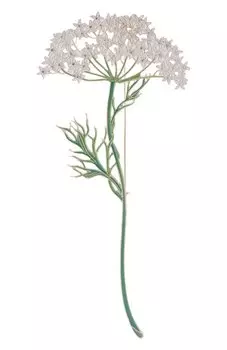 Брошь Дудник Русские самоцветы