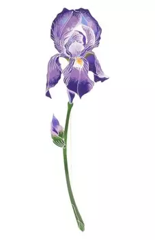 Брошь Ирис Русские самоцветы