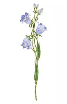 Брошь Колокольчик Русские самоцветы