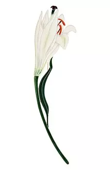 Брошь Русские самоцветы