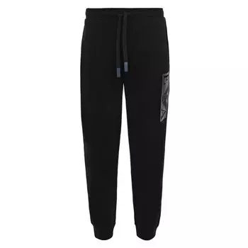 Джоггеры Emporio Armani