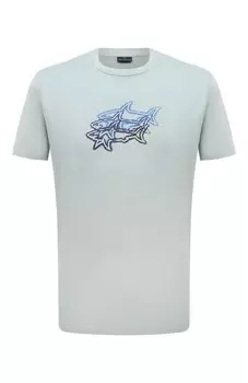 Хлопковая футболка Paul&Shark