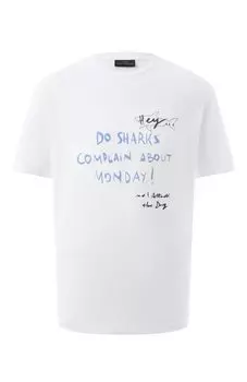 Хлопковая футболка Paul&Shark