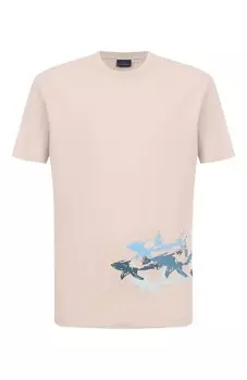 Хлопковая футболка Paul&Shark