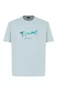 Хлопковая футболка Paul&Shark