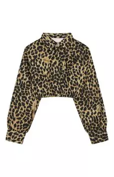 Хлопковая рубашка Blumarine