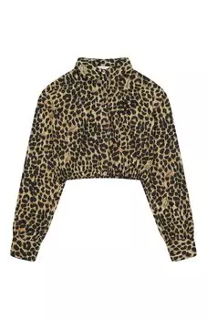 Хлопковая рубашка Blumarine