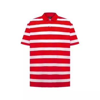 Хлопковое поло Paul&amp;Shark