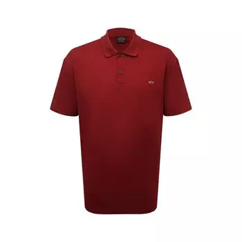 Хлопковое поло Paul&Shark