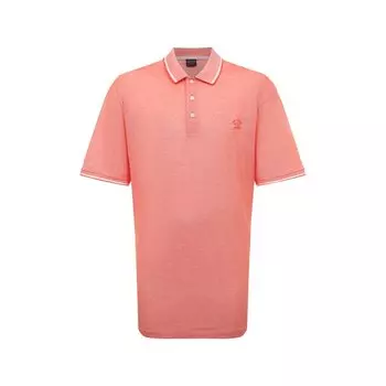 Хлопковое поло Paul&Shark