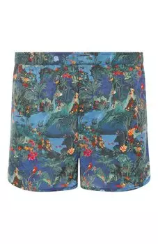 Хлопковые боксеры Derek Rose