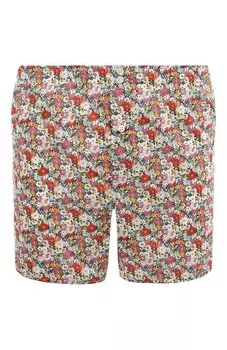 Хлопковые боксеры Roberto Ricetti