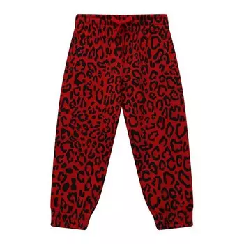 Хлопковые джоггеры Dolce & Gabbana