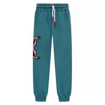 Хлопковые джоггеры Sprayground
