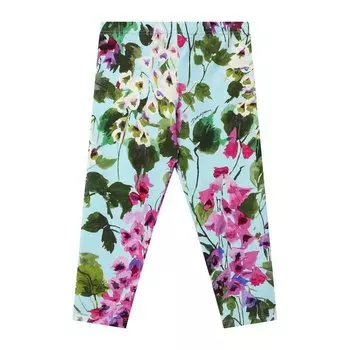Хлопковые легинсы Dolce & Gabbana