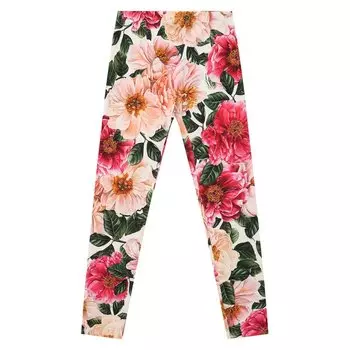 Хлопковые леггинсы Dolce &amp; Gabbana