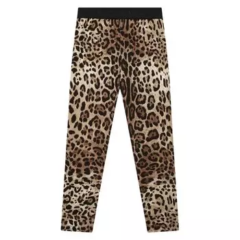 Хлопковые легинсы Dolce & Gabbana