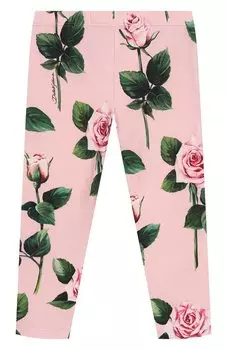 Хлопковые легинсы Dolce & Gabbana