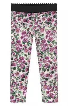 Хлопковые легинсы Dolce & Gabbana