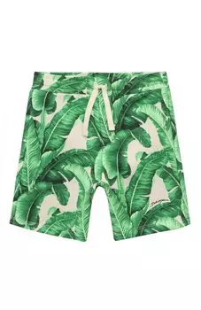 Хлопковые шорты Dolce & Gabbana