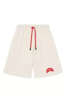 Хлопковые шорты Sprayground