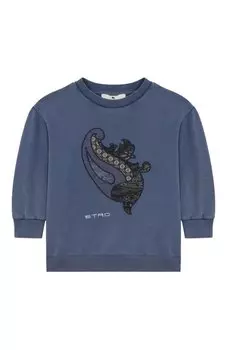 Хлопковый свитшот Etro